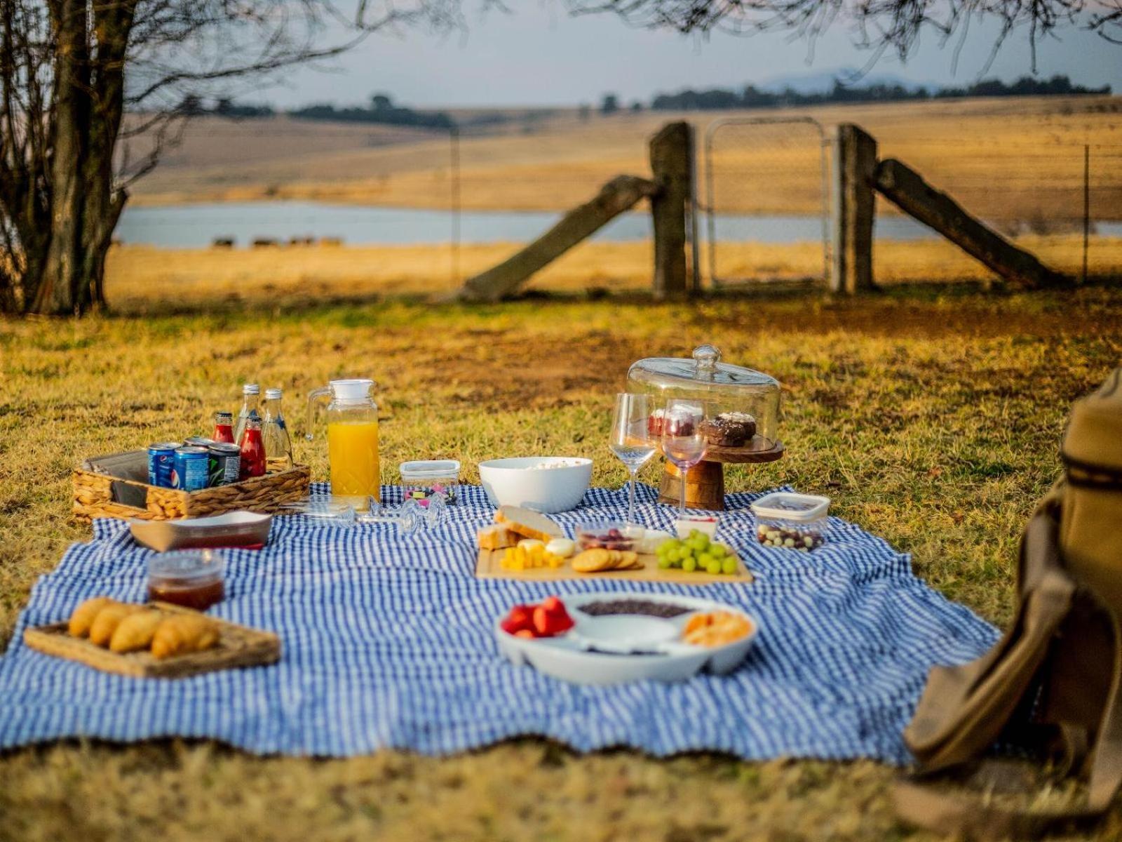 Buffalo Hills Private Game Reserve Harrismith Habitación foto
