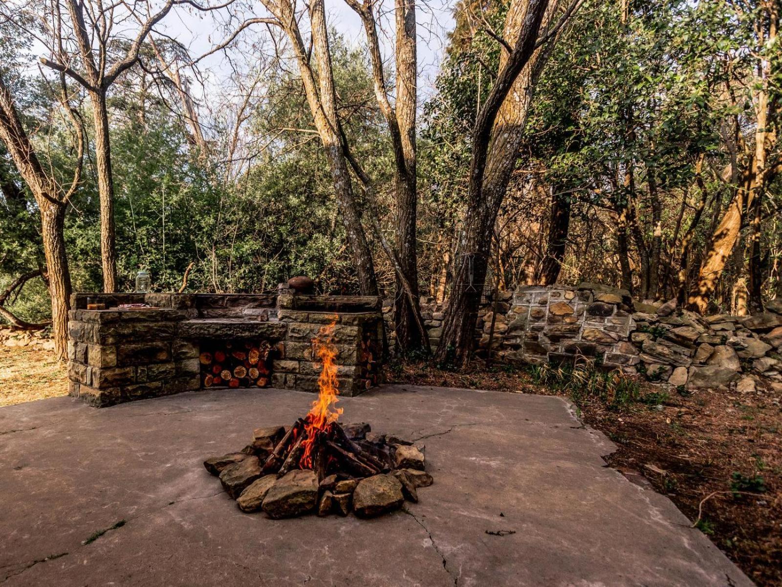 Buffalo Hills Private Game Reserve Harrismith Habitación foto